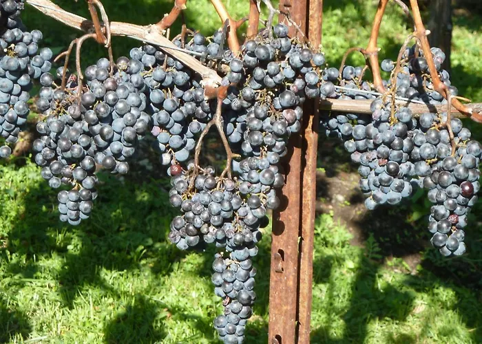 Сasa de vacaciones Il Crotto