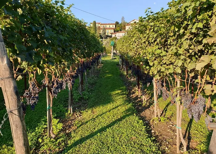 Il Crotto Сasa de vacaciones *