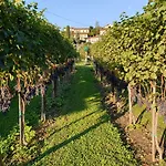 Il Crotto Holiday home *