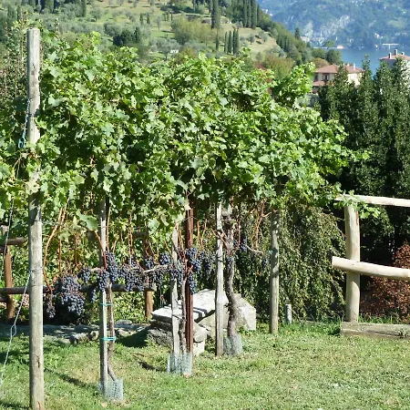 Il Crotto *